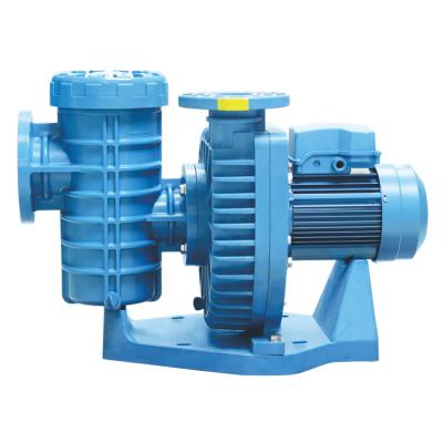 China Top Quality Irrigation And Agriculture Widely Used Filter Self Priming Water Pump For Swimming Pool for sale