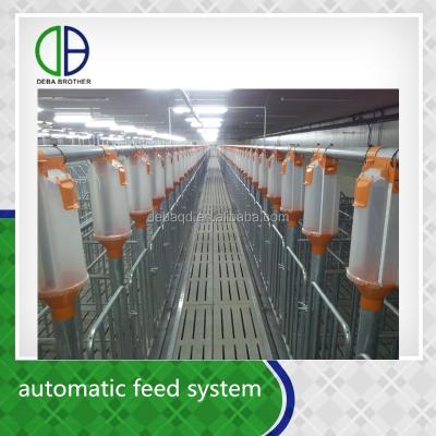 China Modern Farmhouse Saving Time And Labor Cost Pig Farm Automatic Pig Stall Automatic Feeding Finishing System for sale