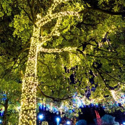 China Colorful LED String Christmas Tree Light Outdoor Wedding Party IP65 Decorative Lights Led Fairy String Light for sale