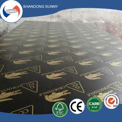 China Modern Phenolic Shuttering Board Film Faced Plywood For Construction for sale