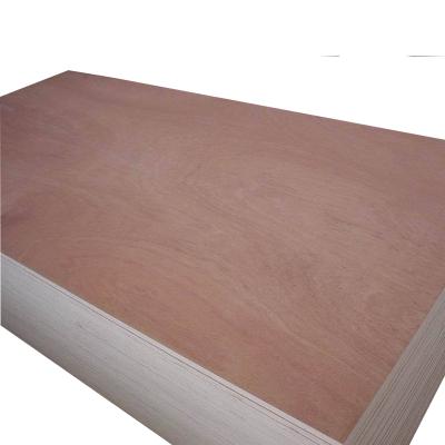 China Modern Okume /beech/bintangor plywood board for sale