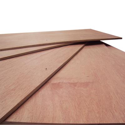 China Commercial and Modern Furniture Grade Oversized Plywood Sheets for sale