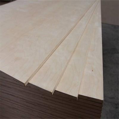 China Modern Commercial Plywood Pine Plywood For Furniture for sale