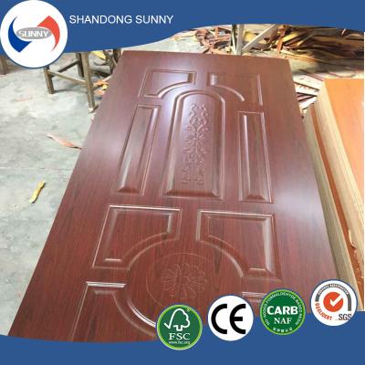 China High Grade Modern MDF Door Skin for sale