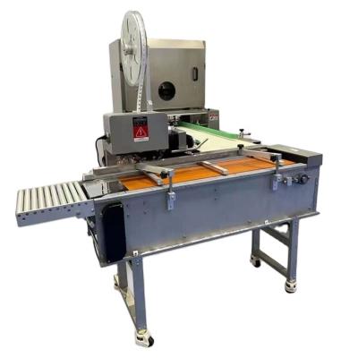 China Factory 2022 Factory Package Bread Clips Supplier Full Automatic Bread Clip Machine Plastic Paper For Bread Packing Bags for sale