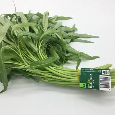 China Fleixble Packing Plant Supplier Harvest Vegetable Twist Tie / Rubber Twist Tie Labels for sale