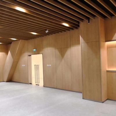 中国 Luxury fireproof synthetic solid wood oak wainscot indoor hpl wall panel/cladding decoration for hospital 販売のため