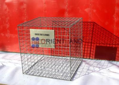 China El Pvc grande cubrió forma rectangular soldada con autógena del agujero de las cestas 75×75m m de Gabion en venta