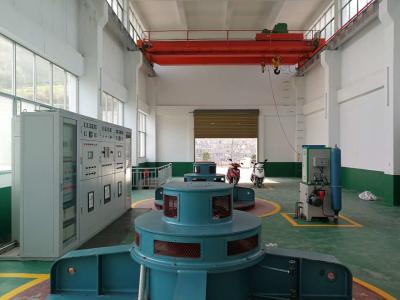 China 800KW Vertical Kaplan Turbine for sale