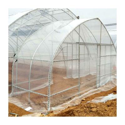 China Tunnel House Greenhouse Single-span Greenhouses Green House Hot Galvanized Steel Tube Film Cover Vegetable Fruits Flowers Large for sale