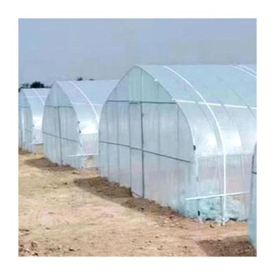 China Agricultural Single-span Black Out Hemp Automated Light Dep Deprivation Blackout Greenhouse for sale