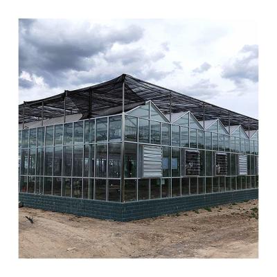 China Cheap Agriculture Multi-span Glass Greenhouse Hydroponic Greenhouse for sale