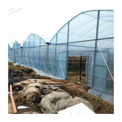 China TIANJIN TYT greenhouses structure plastic film agricultural with hydroponic system for sale