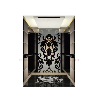 China Black Titanium Series Hydraulic Passenger Elevator For Passenger Lift for sale