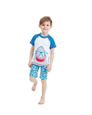 China Shark Short Sleeve Babies Boys Short Swimsuit Rashguard Set 12M-5T for sale