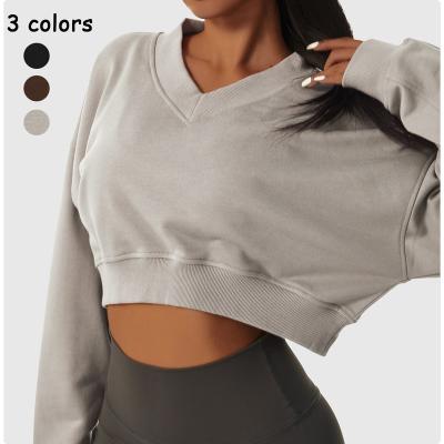 China 2023 Breathable New Fashion All Match Loose Long Sleeve V-Neck Fitness Outdoor Sports Sweater Women's Casual Pullover Tops for sale