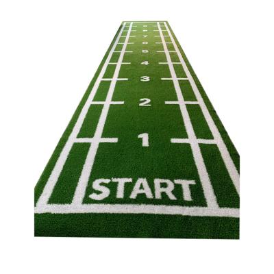 China Good Quality Manufacturer Professional Indoor Sport Artificial Grass Gymnasium Lawn Landscaping For Cricket Field for sale