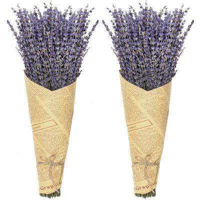 China Dried Lavender Dried Preserved Lavender Floral Arrangement Bundles 100% Natural Dried Lavender Flowers For Home Decoration for sale