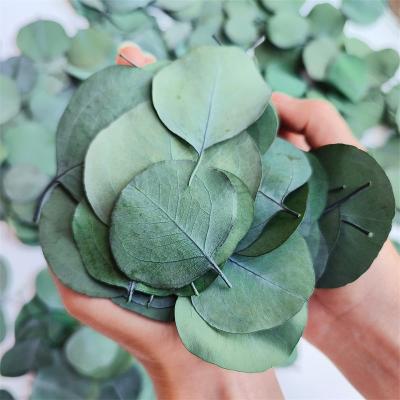 China Wedding Cake Decor Beauty Gift Item 300+ Pcs Dried Forever Real Eucalyptus Leaves 100% Natural Preserved Silver Dollar Eucalyptus Green Loose Leaves for sale