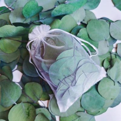 China Wedding Cake Decor 100% Natural Preserved Plants Bulk 200+ Pcs Dried Real Eucalyptus Silver Dollar Green Leaves Flower for sale