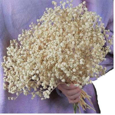 China Customized 2023 Wedding Package Bulk Cream Flowers 2500+ Big White Dry Dry Flowers Baby's Breath Bouquet Customized for sale