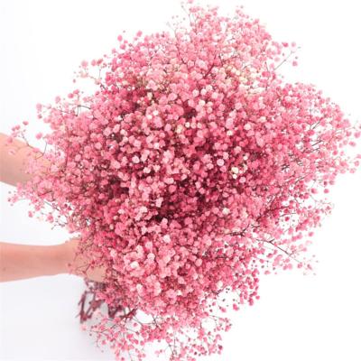 China Wedding A Grade Beautiful Design 17.2 Inch Natural Pink Gypsophila Dried Flowers 2500+ Branches Babies Breath Bouquet Flowers for sale