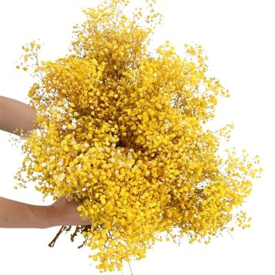 China Wedding Beautiful Grade Design 17.2 Inch Yellow Natural Gypsophila Dried Flowers 2500+ Branches Babies Breath Bouquet Flowers for sale