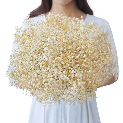 China Wedding Beautiful Grade Design 17.2 Inch Ivory White Natural Gypsophila Dried Flowers 2500+ Branches Babies Breath Bouquet Flowers for sale