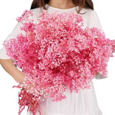 China Original Wedding Product Preserved Dried Flowers Natural Gypsophila Branches 5.7oz Baby's Breath Pink Dried Flowers Bouquet for sale