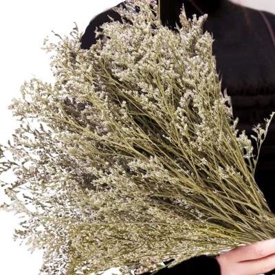 China Dried Preserved Eucalyptus OEM Customized Fresh Caspia Bellidifolium Sea Lavender Baby's Breath Flowers 25+ Stems Preserved Limonium Original Natural Bouquet for sale