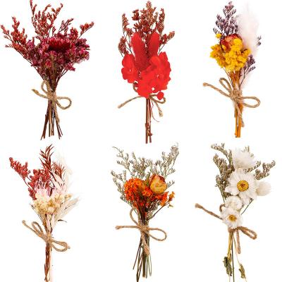 China Fresh Dried Preserved Flowers Mixed Natural Dried Flowers 6Pcs Mini Dried Flowers Bouquet Gypsophila Bouquets For Crafts for sale