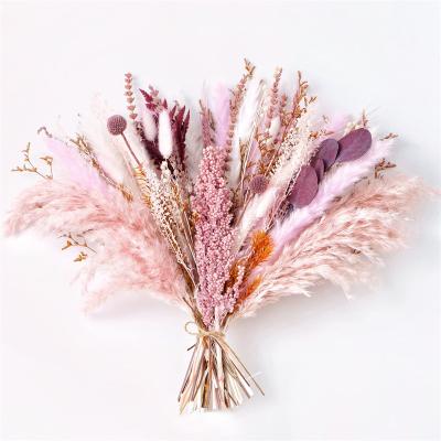 China Natural Dry Preserved Pampas Grass Flower Arrangement Inch Pampas Grass Best Gift Bouquet17 Blush Pink Pampas Grass for sale