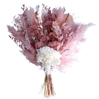 China Natural Dry Preserved Pampas Grass Flower Arrangement Inch Pampas Grass Best Gift Bouquet17 Blush Rose Red Pampas Grass for sale