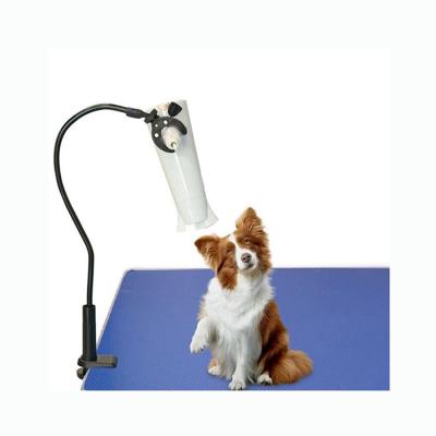 China Viable Wholesale High Quality Customized Pet Cat And Dog Hair Dryer Holder for sale