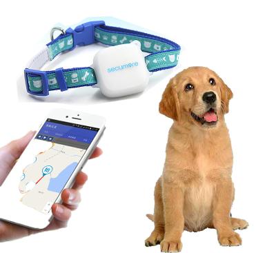 China Viable High Quality Waterproof Dog Collar GPS Tracking Collar GPS Tracker For Pet Puppy for sale