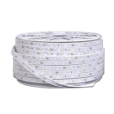 China Household KTV Warehouse Langdscape Theme Park 220V Led Strip Dual Colors White+Warm White+Natural Adjustable Outdoor Light 5630 120leds/m Strip Waterproof CCT for sale