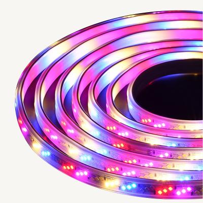 China Household KTV Warehouse Langdscape 220V SMD2835 Theme Park 220V SMD2835 Horse Racing RGB Led Strip Waterproof Outdoor Holiday LED Flexible Strip Light for sale