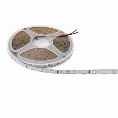 China Household KTV Warehouse Langdscape Theme Park Full Spectrum Ra90 High Led Strips Light DC12V24V SMD 2835 5M Warm White 300 Lamp 600leds 1meter 120leds 60leds for sale