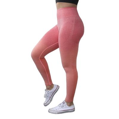 China High Waisted Yoga Pants Women Antibacterial Seamless Leggings Workout Shaping Tights Gym Fitness Gaiters for sale