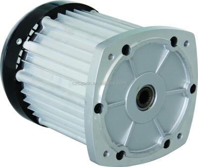 China waterproof bldc motor for electric vehicle used for passenger for sale