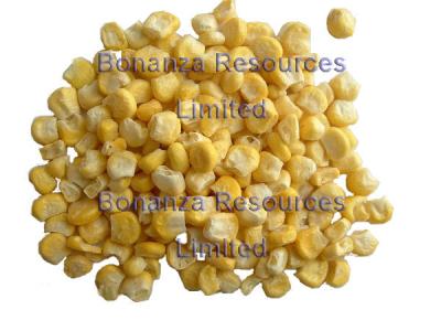 China Freeze Dried Sweet Corn Ingredients of Instant Soup Noodles for sale