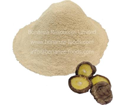 China Sell Certified Kosher Soup Ingredient Freeze Dried Shiitake Mushroom Powder for sale