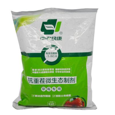 China Fruchtproduktion und Pflanzvorbereitung / Mikroökologische Erdbeeren-Anti-Wiederaufzucht zu verkaufen