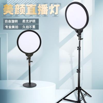 China 2022 Newest 26cm 10inch LED RGB PORTABLE Adjustable Colorful Circle Ring Light Selfie Photography Video for Live Streaming for sale