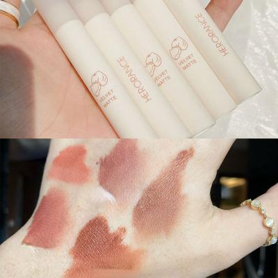 China Simple White Nude Chestnut Color Lip Gloss Waterproof Velvet Matte Lipstick Lip Gloss for sale