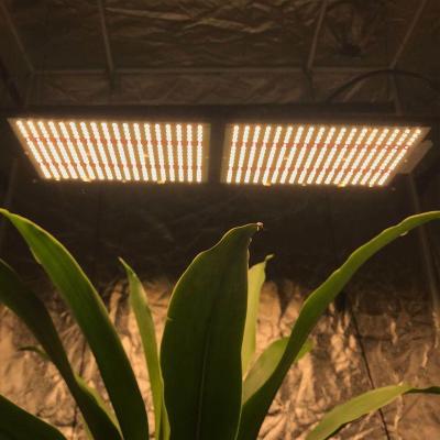 China Seed Starting Topbrite 240W Samsung lm281b Led Grow Light with Meanwell Driver No Tax to Thailand for sale