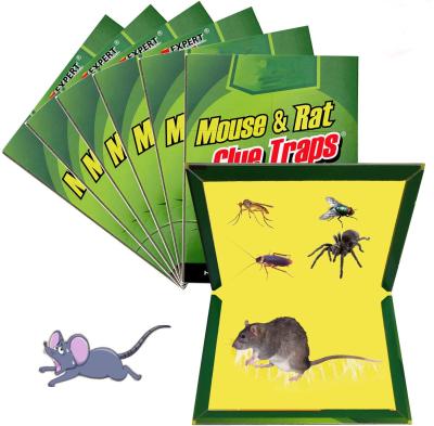 China Viable Pest Control Green Killer Glue Rat Mouse Trap Cardboard for sale