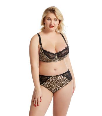 China QUICK DRY Millimeter Lace DEFG Fat Cup Women Push Up Bras And Panties Sets Leopard Breathable Big Lace Bra Brief Sets Plus Size Fat Bra Set for sale