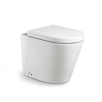 China WC Chinese Bathrooms Washdown Automatic Operation Ceramic Toilet Seat Bidet Toilet for sale