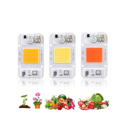 China 50W 30W 20W 10W COB LED Chip DOB LED CHIP For Grow Light Floodlight Lighting for sale